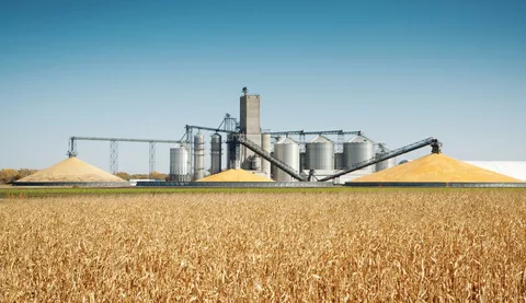 Порядка 60 проектов стоимостью 176,2 млрд тенге планируют реализовать в сфере переработки сельхозпродукции